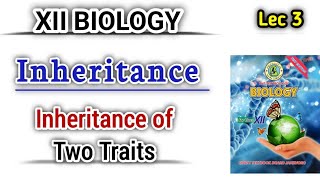 Inheritance of two traits lec 3  Dihybrid cross class 12 bio new book [upl. by Barnes330]