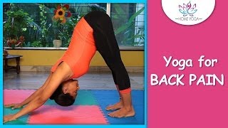 Adho Mukha Svanasana  Downward Facing Dog Pose  Cure Back Pain With Yoga [upl. by Assillam]