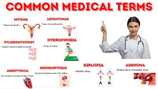 Important Medical Terminology [upl. by Suehtomit545]