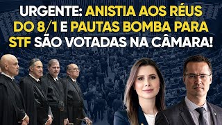 Anistia aos presos do 81 e pauta bomba para STF live com Carol de Toni [upl. by Weaks]