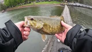 Bass fishing lake Billy chinook Finesse￼ [upl. by Follmer]