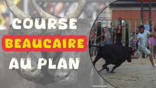 BEAUCAIRE Course au Plan 13072024 🌞 [upl. by Heppman]