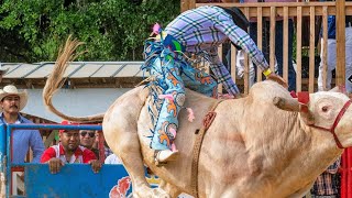 🇲🇽 Una Gran Revancha De La Motosierra del DF vs El Gerber [upl. by Loma]