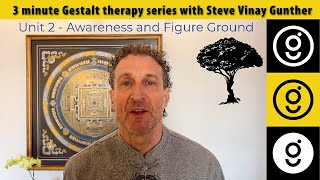 Awareness and Figure Ground in Gestalt therapy • 3 minute Gestalt series 2 [upl. by Jacquelyn]