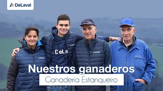 DeLaval  Nuestros ganaderos  Robot de ordeño  Ganadería Estanqueiro [upl. by Mundford]