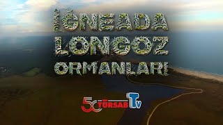 İğneada Longoz Ormanları  Subasar Orman [upl. by Nalaf]