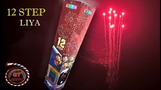 LIYA 12 STEP Liya Pyrotechnics Skyshot liyafireworks skyshot [upl. by Savihc709]