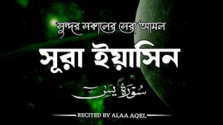 Surah yaseen BY ALAA AQELسوره يسسوره يسসুন্দর সকালের জন্য আবেগময় কন্ঠে সূরা ইয়াসিন। [upl. by Gracye]