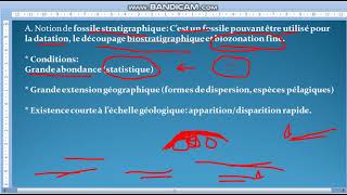 Biostrtatigraphie Cours 3 principes de stratigraphie [upl. by Assener]