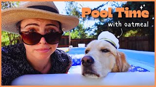 Pool Time Swimming with My Dog Oatmeal [upl. by Lieberman]