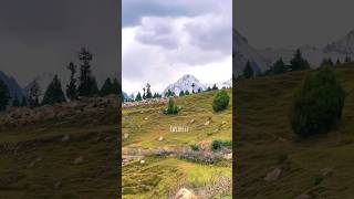 Astore Valley Pakistan travel pakistan mountains nature astor astorevalley love [upl. by Gerk]