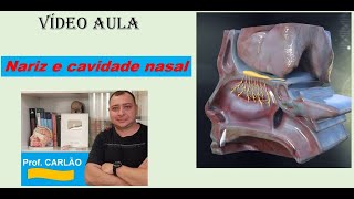 VÍDEO AULA NARIZ E CAVIDADE NASAL [upl. by Anitac639]