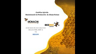 Maximizando la Producción de Abejas Reinasquot a cargo de Beeing Company [upl. by Ybrik]