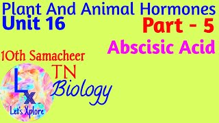 10th std Biology Unit 16 Plant and animal hormones Abscisic Acid Part 5 Samacheer Kalvi TN [upl. by Leunam761]