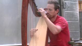 Lullaby of the Leaves Harp Luke Brechtelsbauer [upl. by Rizas816]