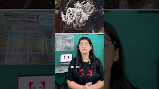 Revision BIO  Basidiomycetes Fungi [upl. by Leibrag]