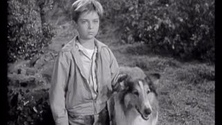 Lassie  Episode 17  quotThe Runawaysquot Originally broadcast 01021955 [upl. by Rurik]