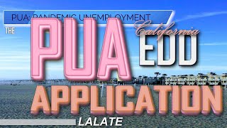 Unemployment BENEFITS HACKED in Florida Illinois Arkansas Ohio California EDD PUA Unemployment NEWS [upl. by Laurella]