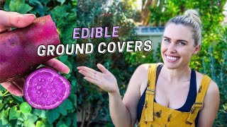 10 Edible Ground Cover Plants for Permaculture Gardening in Australia  Edible Gardening Tips [upl. by Deloris]