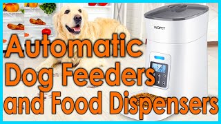 5 Best Automatic Dog Feeders and Food Dispensers [upl. by Hyo595]