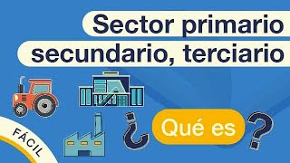 ¿Qué es el SECTOR PRIMARIO SECUNDARIO Y TERCIARIO  Explicado FÁCIL 🎓 [upl. by Asseram]