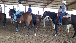 Équitation Western ركوب الخيل ويسترن [upl. by Sansen]