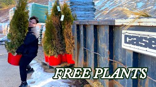 Garden Shopping and a Dumpster Dive Surprise [upl. by Erika]