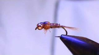 Tying a Pheasant Tail Nymph [upl. by Canute]