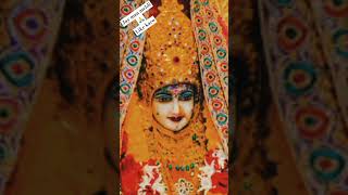 jay maa meldi musicmate like karo meldimasong Live [upl. by Atnoed670]