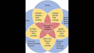 Pathological Demand Avoidance PDA [upl. by Narhem248]