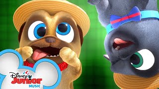 Waiting Song 🎶 Music Video  Puppy Dog Pals  Disney Junior [upl. by Adalia]