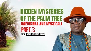 POWERFUL MEDICINAL AND MYSTICAL USE OF THE PALM TREE BY jnanacaksusdas572 PART 2 [upl. by Etnovaj]