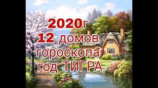 НОВОГОДНИЙ САЛАТ ОЛИВЬЕ 2022 СЛОЯМИ В ВИДЕ ЗАБАВНОГО ТИГРА [upl. by Takakura244]