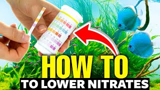 Heres How To Lower Nitrates In An Aquarium FAST👨‍🔬 [upl. by Mclaughlin]