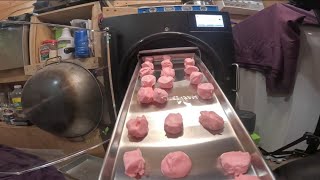 Freeze Drying Salt Water Taffy foodpreservation candy asmr freezedriedfood [upl. by Parsifal]