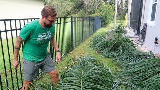 Prepping For Hurricane Milton Quick Trip To Disney Springs amp New Eyelashes  Home Vlog [upl. by Howund]