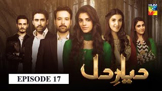 Diyar e Dil Episode 17 HUM TV Drama [upl. by Inavoy]