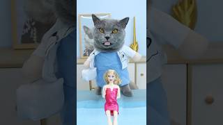 Help🥺 Can Dr Oscar Magically Heal The Broken Doll🩹🎀 catvideo catmemes trending [upl. by Nivej]