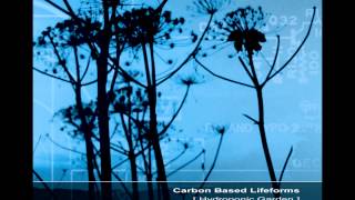 Carbon Based Lifeforms  Hydroponic Garden Full Reissued Album [upl. by Tiat]