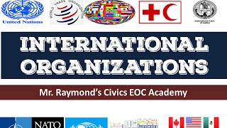 International Organizations  42 Governmental and NGOs  Benchmark Civics EOC [upl. by Ennagrom]