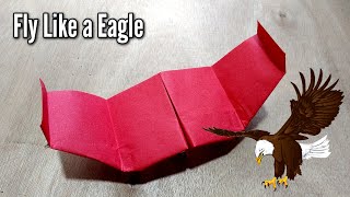 Paper Glider Airplane  Best Paper Airplane Glider Making With Color Paper [upl. by Yraccaz]