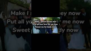 Diamond Platnumz amp Wouter Kellerman  Pounds amp Dollars Lyric Video music lyrics [upl. by Nitz]