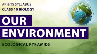 Class 10 OUR ENVIRONMENT in Telugu 10th Biology Chapter 9  AP amp TS Syllabus  FULL CHAPTER [upl. by Rumit]