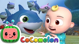 Baby Shark  CoComelon Nursery Rhymes amp Kids Songs [upl. by Brindell]