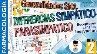 DIFERENCIAS entre sistema SIMPÁTICO Y PARASIMPÁTICO Aplicación clínicaNEUROFARMACOLOGÍA INTRO P2 [upl. by Vidovic]