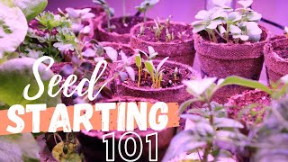 5 Tips for Starting Seeds Indoors  Urban Balcony Garden [upl. by Belier509]