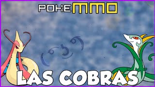 MILOTIC E SERPERIOR COBRAS LINDAS NA OU 😍  PokeMMO PvP OU [upl. by Ennovihc]