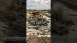 San Luis High School water retention Cleanup March 2024 pt 2 landscaping shorts YDC [upl. by Longerich]