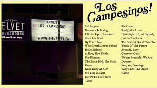 Full Los Campesinos Live Toronto Show [upl. by Coulombe]