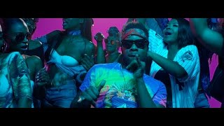 Maleek Berry  Eko Miami ft Geko Official Video [upl. by Arekat]